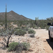 IMG 0003 (2)